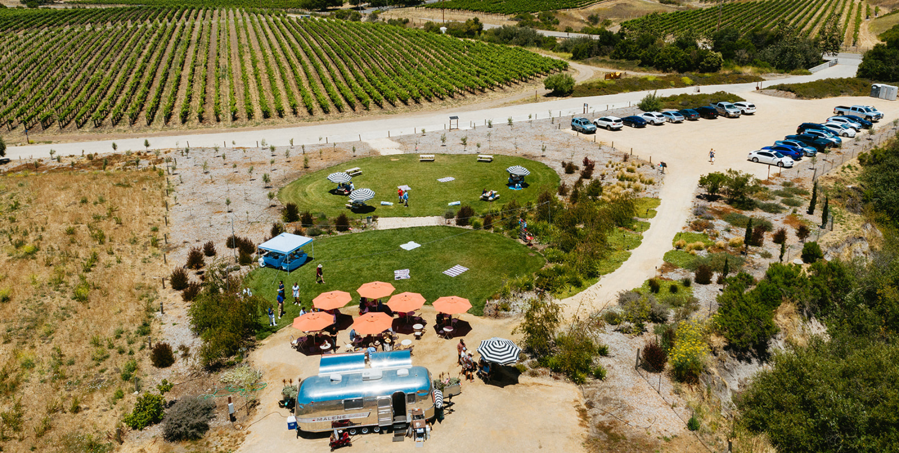Plan your private event at Malene